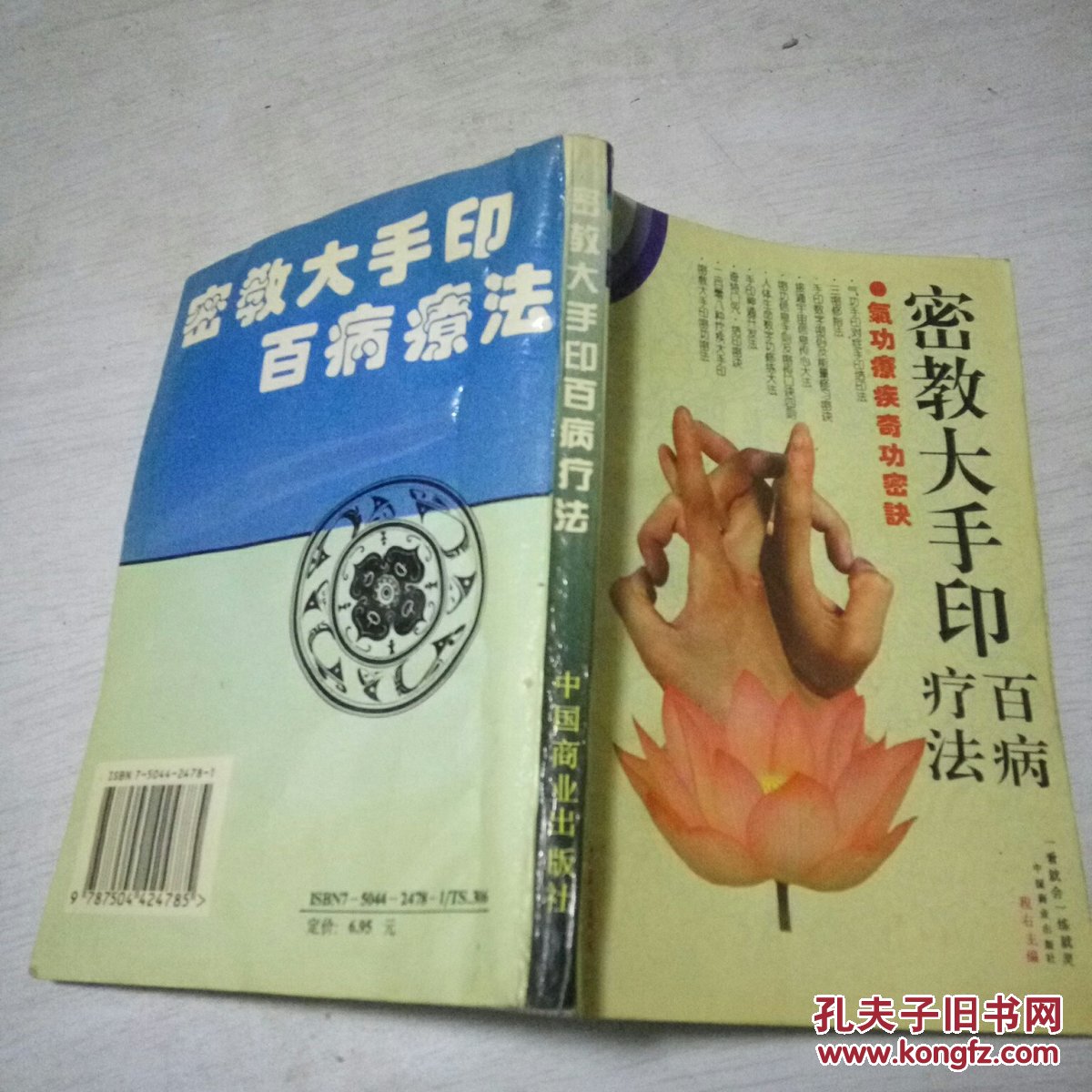 密教大手印百病疗法