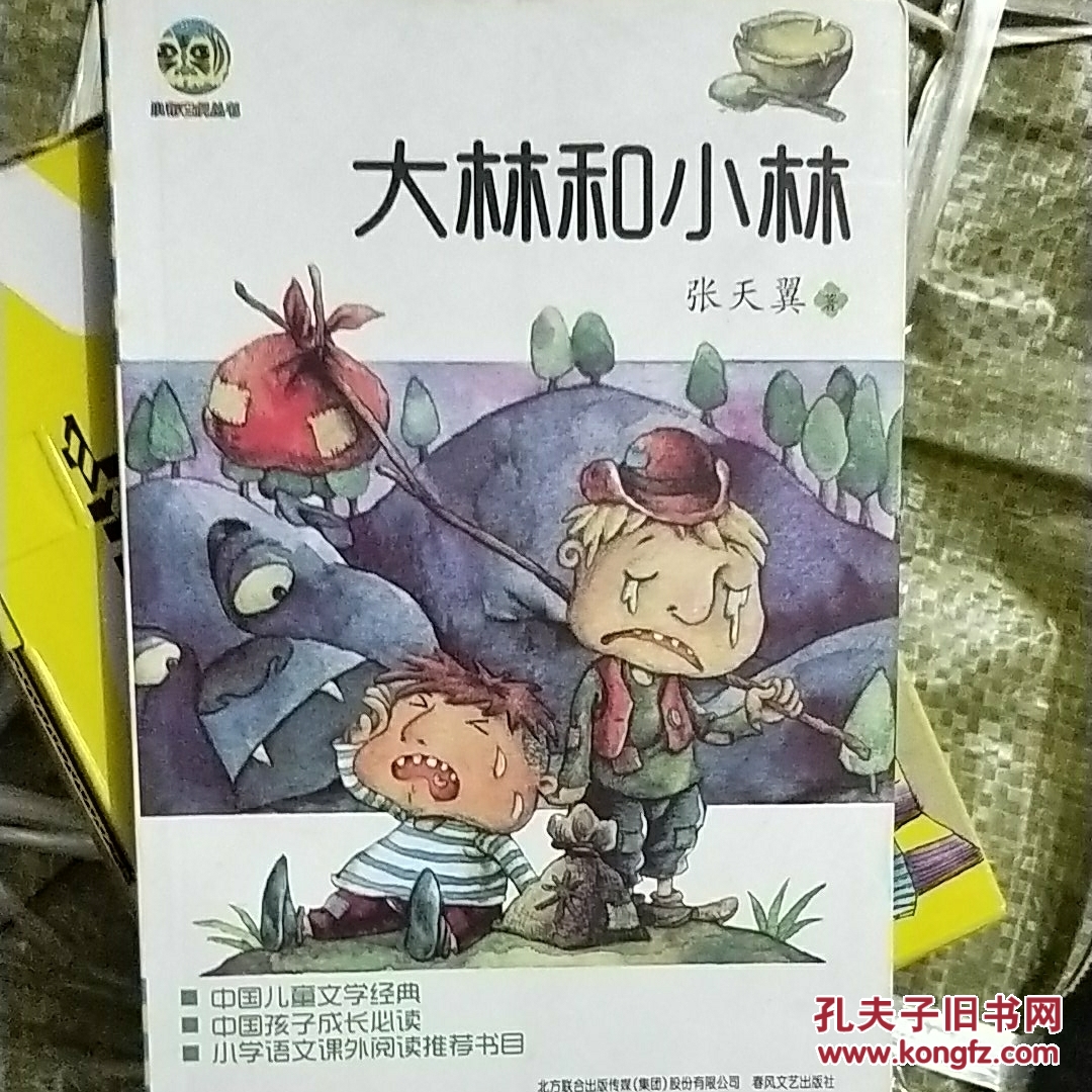 小布老虎丛书:大林和小林