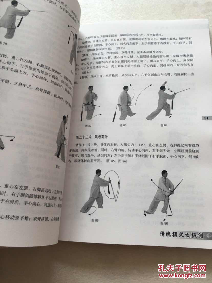 传统太极剑全书