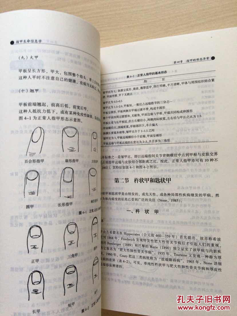 指甲生命信息学(大16开,内十品)