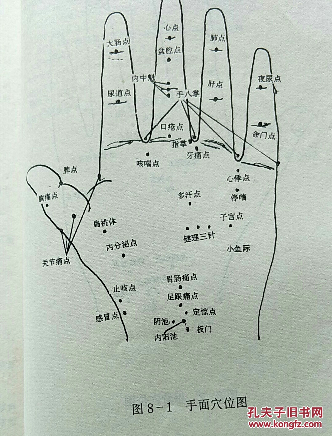 健康法资料【经络穴位全息反射区】【e6】