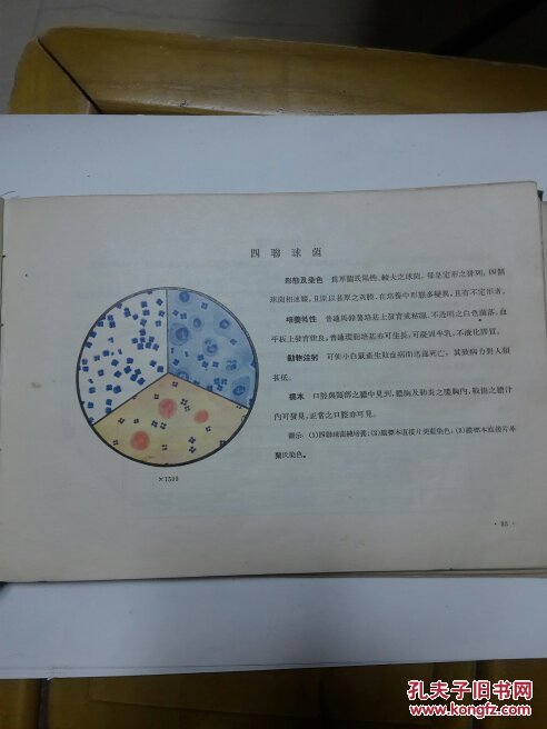 【图】医用笔画真菌学出版图解_细菌a医用检查袁隆平简人民步聚图片