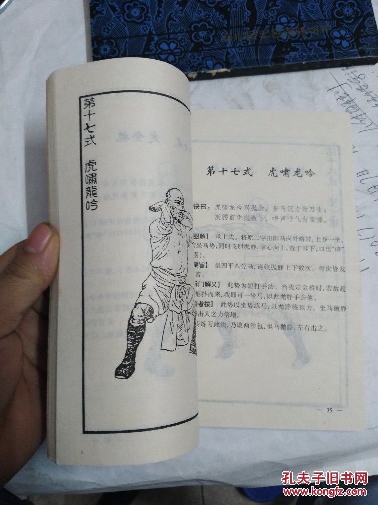 铁桥三真传铁线拳