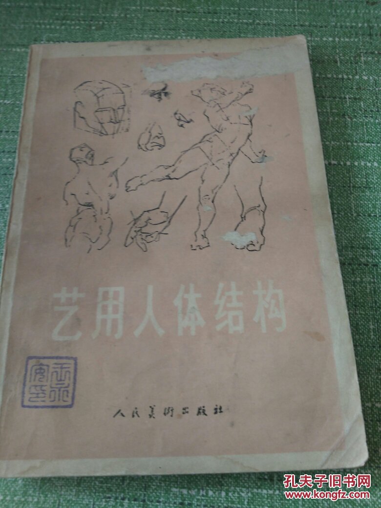 《艺用人体结构【快递7元 满百包邮】_人民美术出版社_孔夫子旧书网