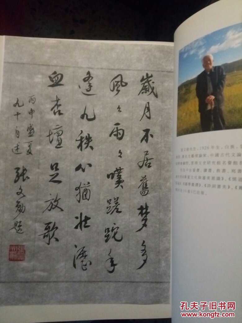 风格-张文勋评王其林书法艺术【签赠本】