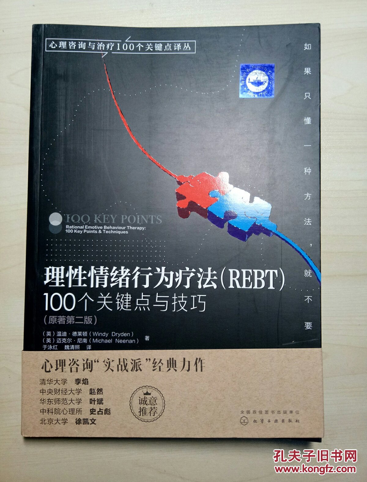 理性情绪行为疗法 REBT100个关键点与技巧(原
