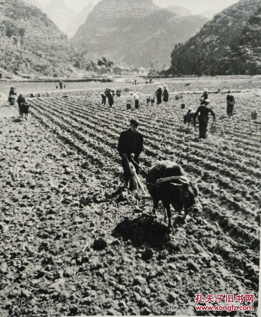 五十年代体现农村题材老照片厚相纸麻面是收藏者的好作品14张