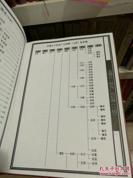 中华义门陈氏大成谱汀州庄江西萍乡宣凤六修族谱卷一卷二合售
