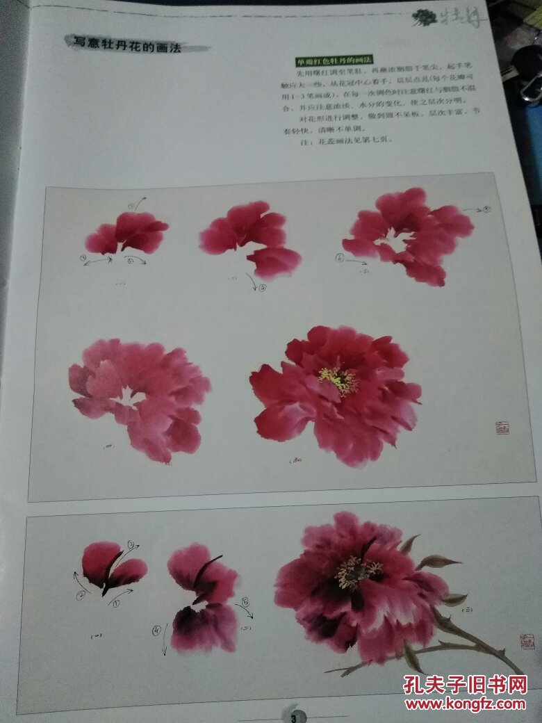 中国画临习速成:牡丹