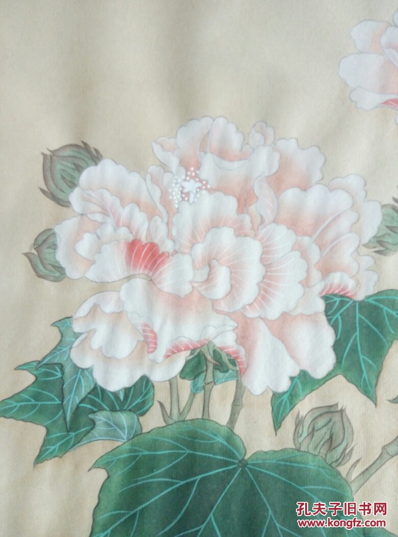 红芙蓉图工笔画