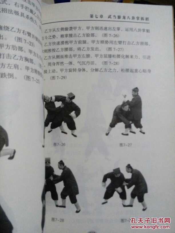 武当游龙八卦掌