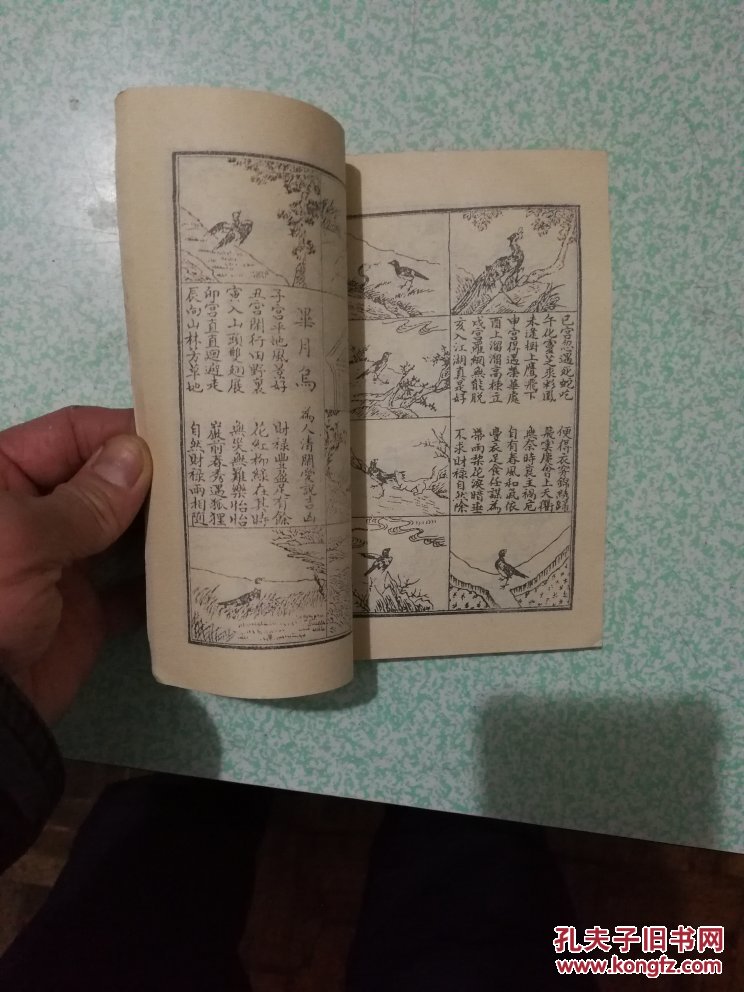 三世相法(包邮)_灵道道人_孔夫子旧书网