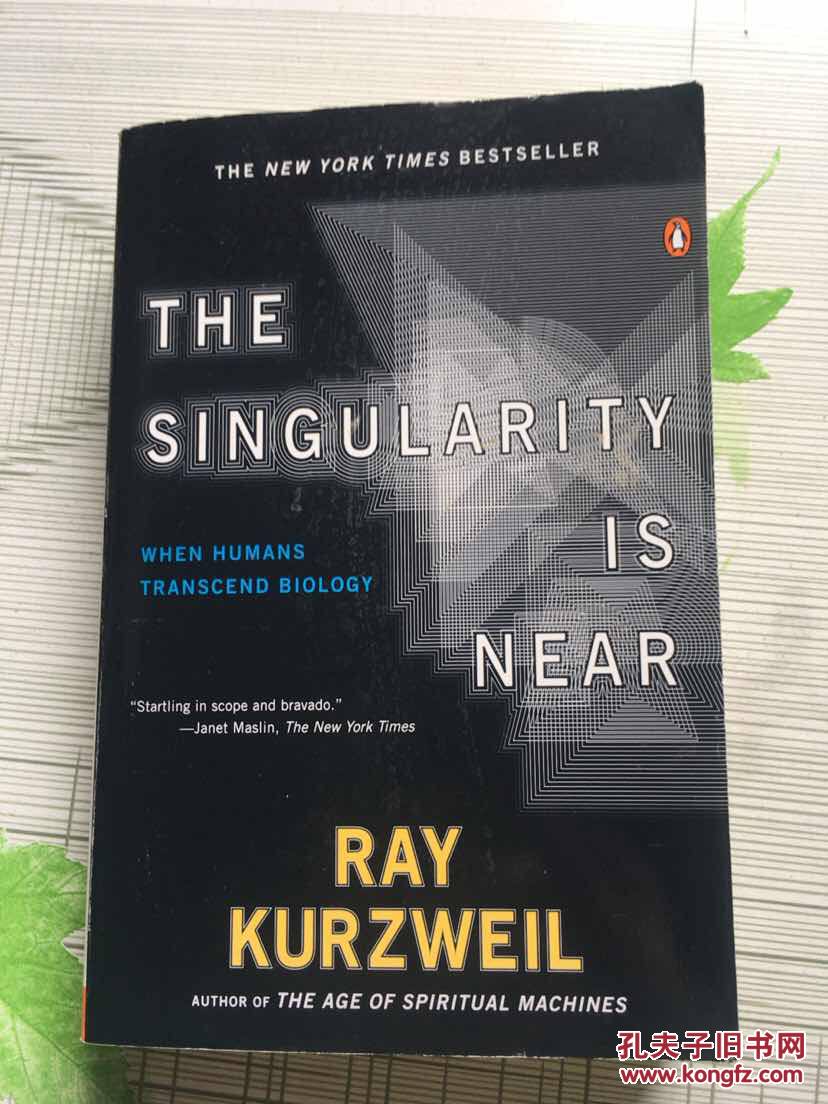 the singularity is near(英文)