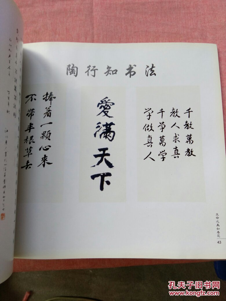 生命之美如春花-陶行知名言诗歌随想