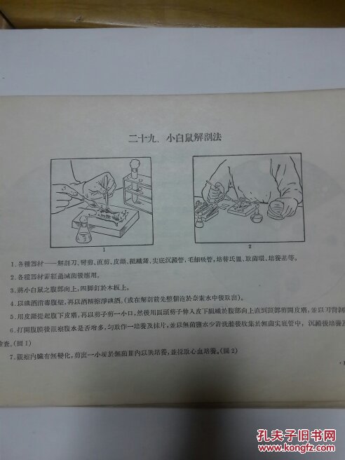 【图】细菌医用真菌学出版图解_技法a细菌检查人民抠图通道图片