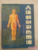 人体解剖彩色图谱【精装】16开