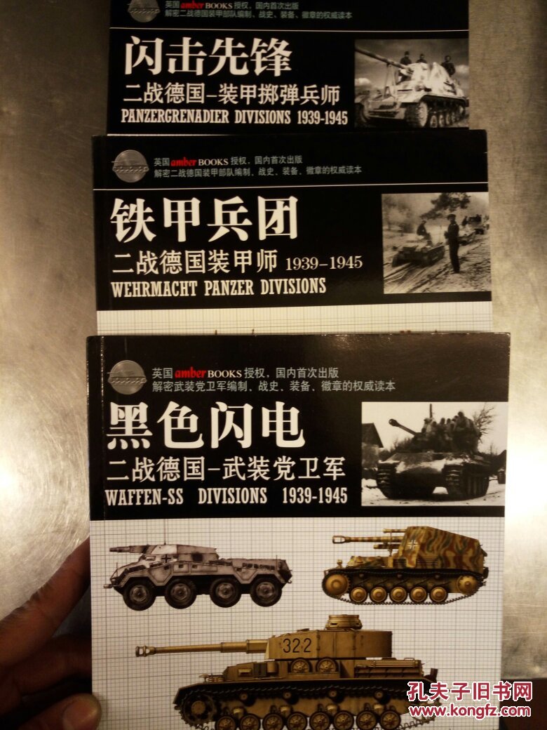 铁甲兵团:二战德国装甲师,武装党卫军,装甲掷弹兵师―