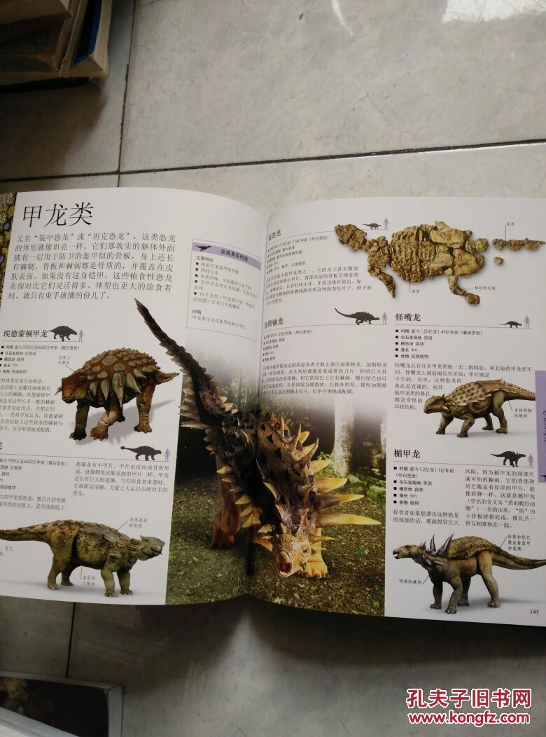 dk儿童恐龙百科全书