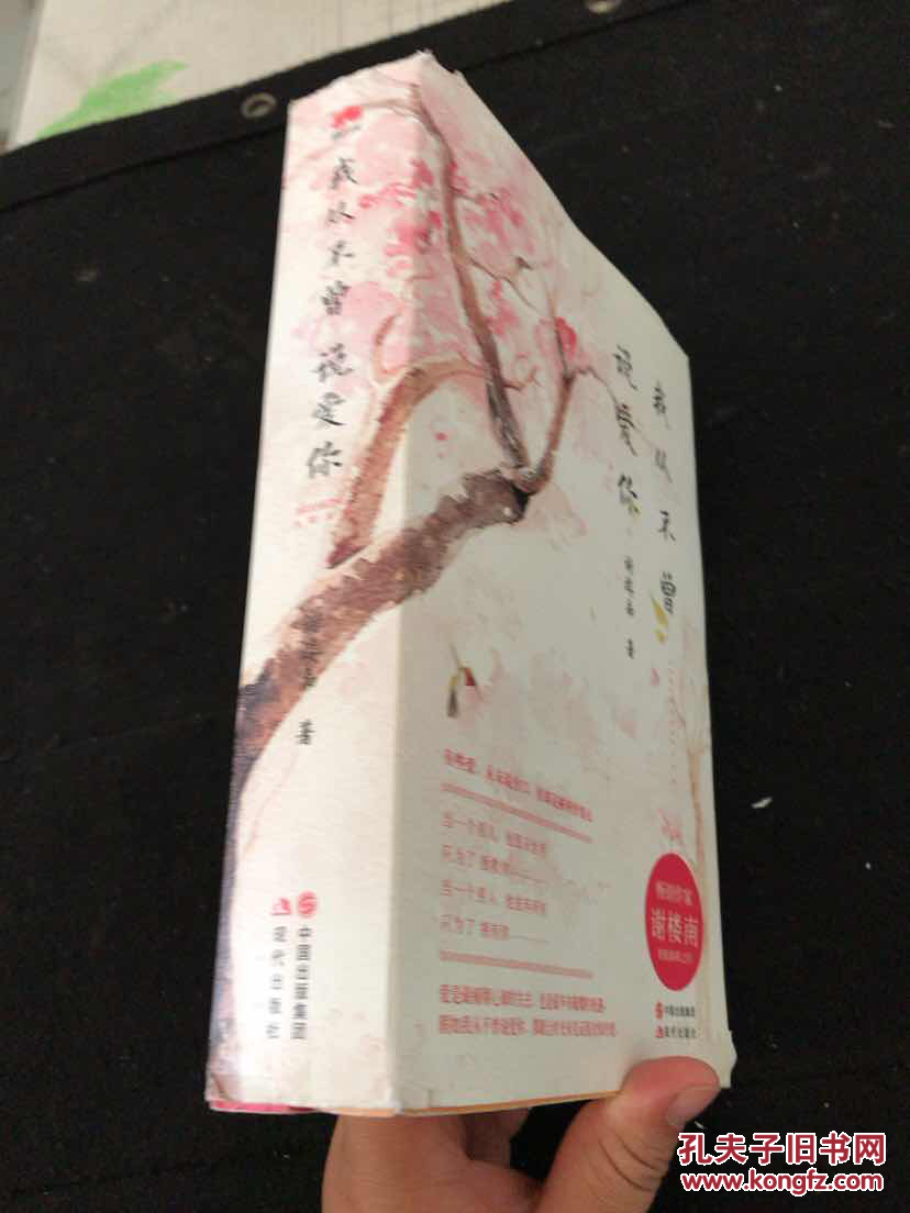 (正版现货)我从不曾说爱你.【正版现货】.