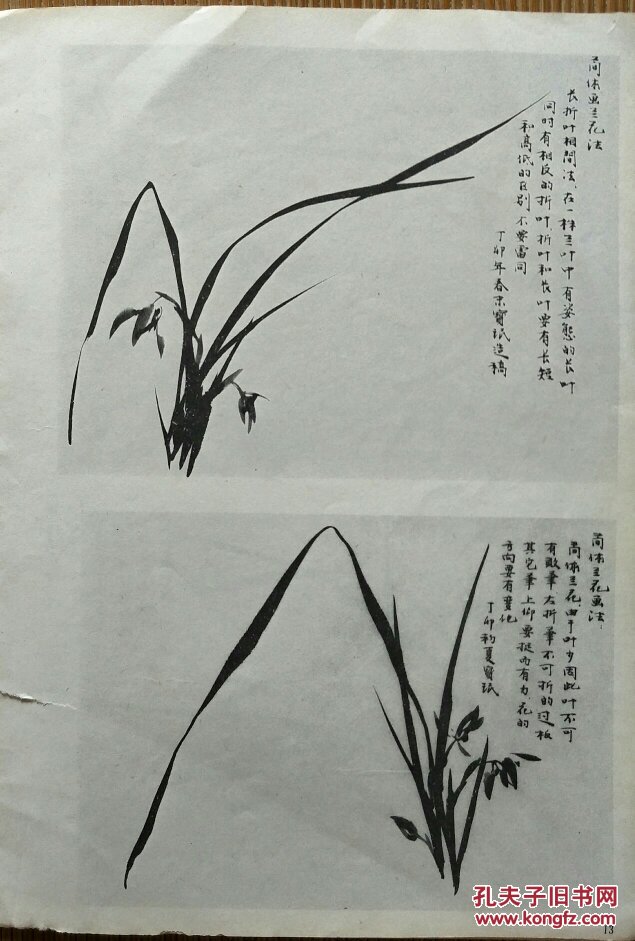怎样画兰花
