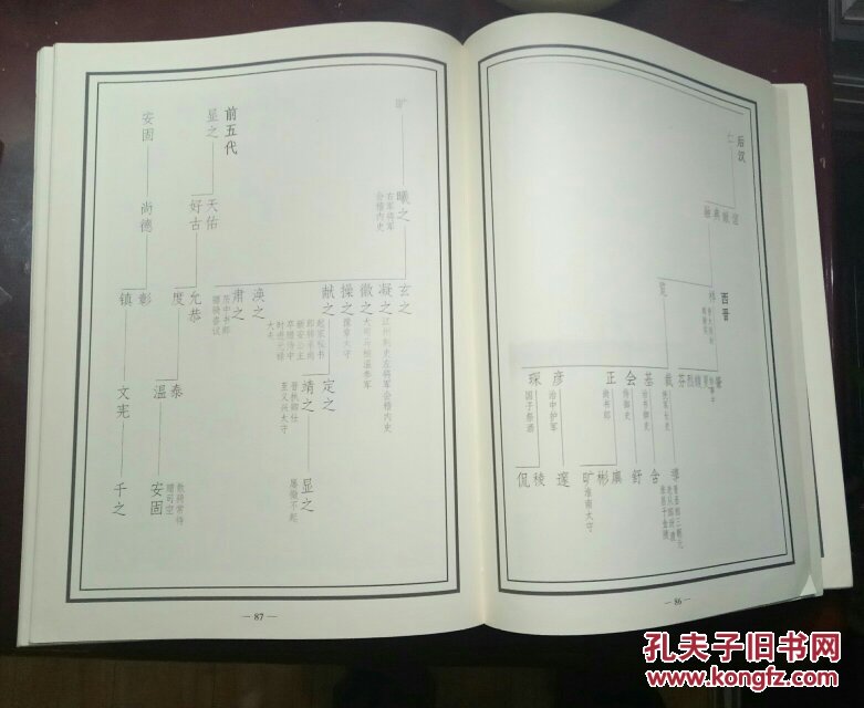 王氏族谱(昭庆军节度使韩世忠题)