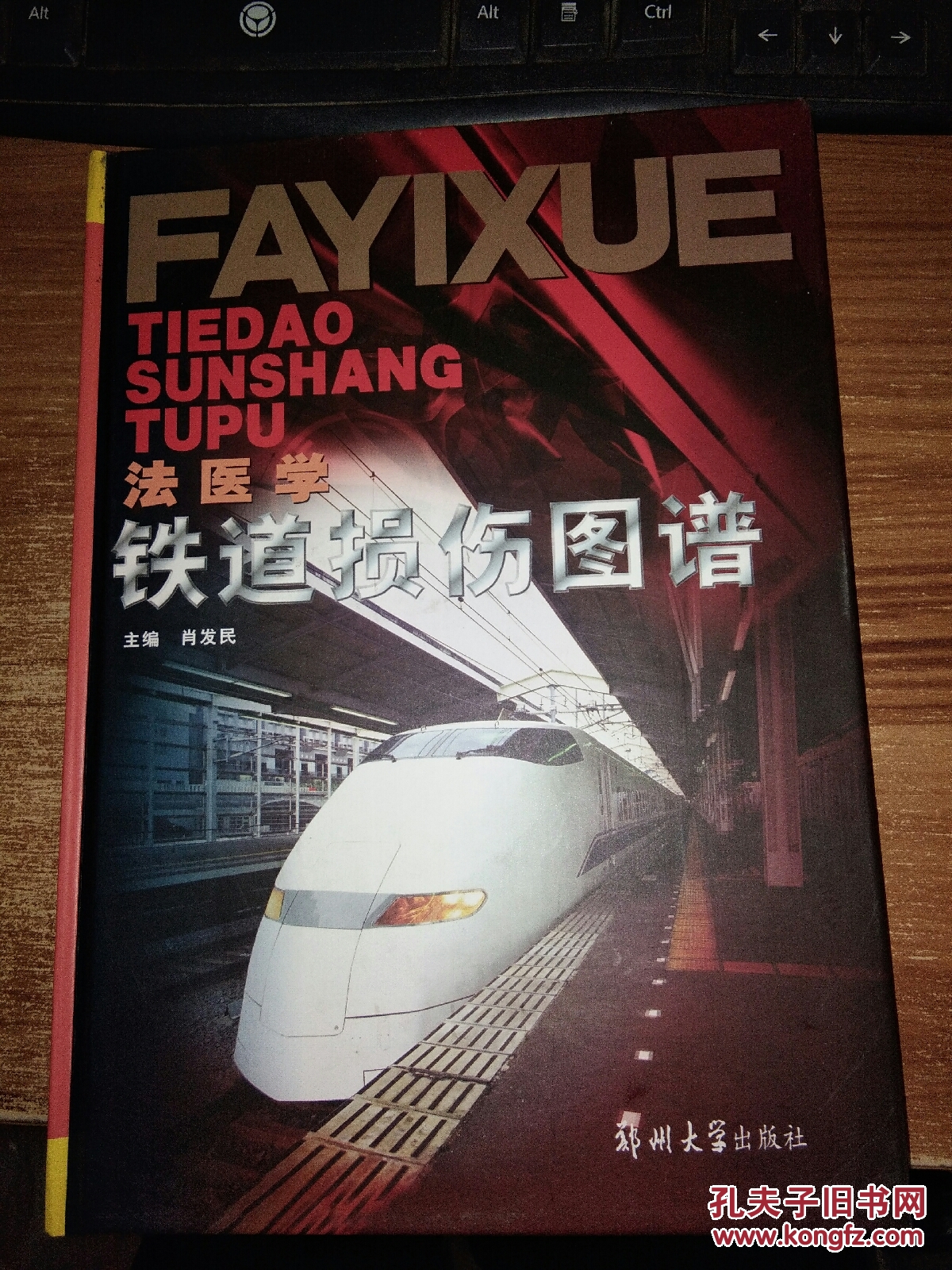 法医学铁道损伤图谱