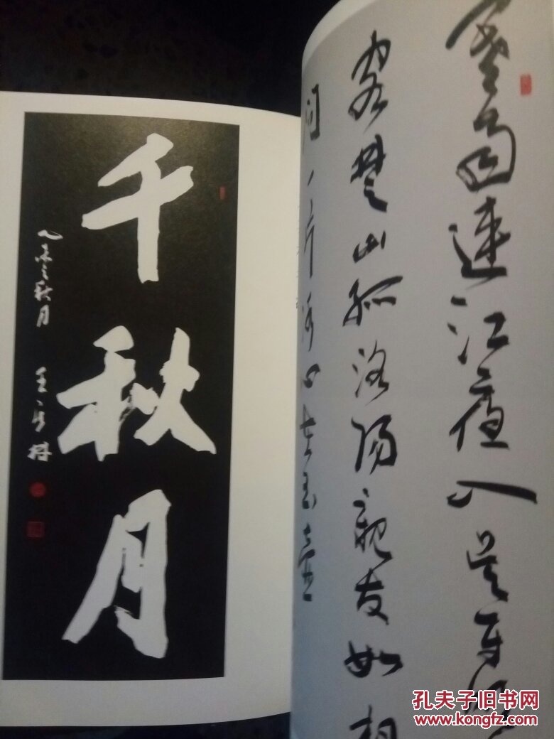风格-张文勋评王其林书法艺术【签赠本】