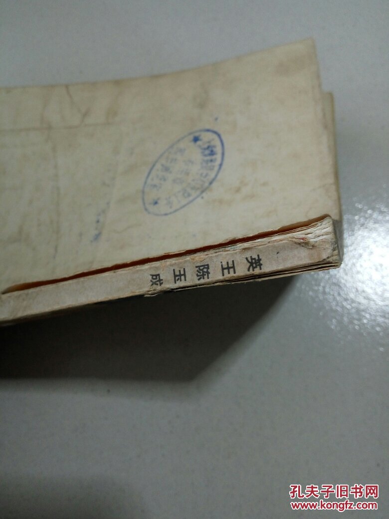 英王陈玉成:中篇小说(一版一印)