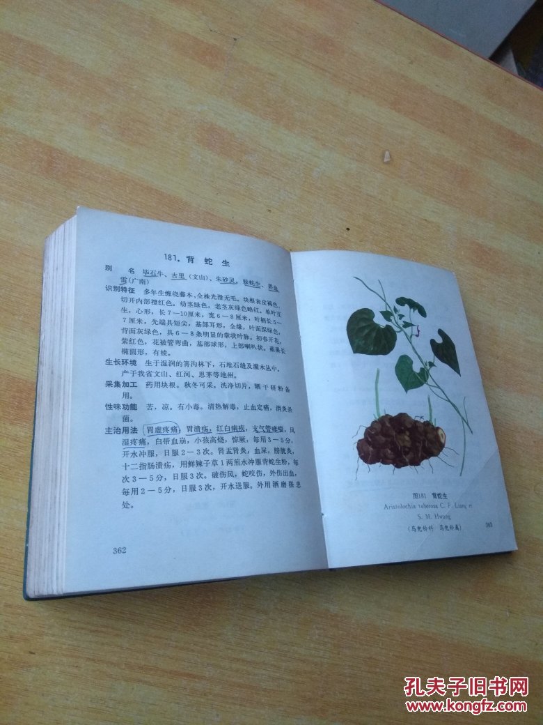 云南中草药选(续集) 彩色图片