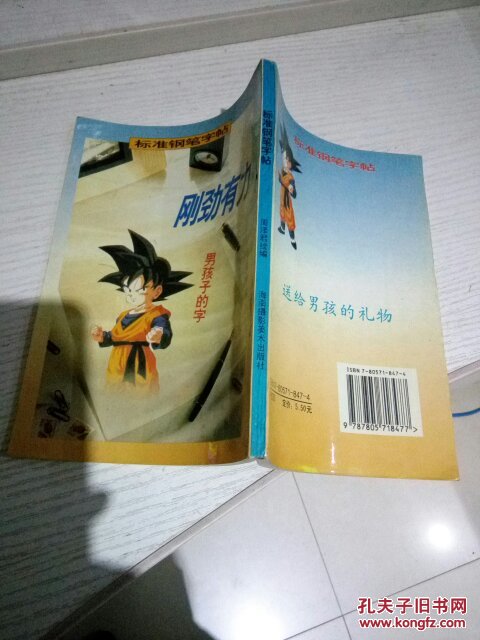 【图】标准钢笔字帖刚劲有力男孩子的字_海南