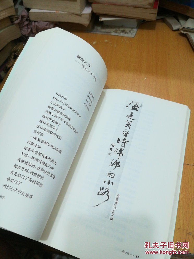 洛夫诗作精选集:烟之外