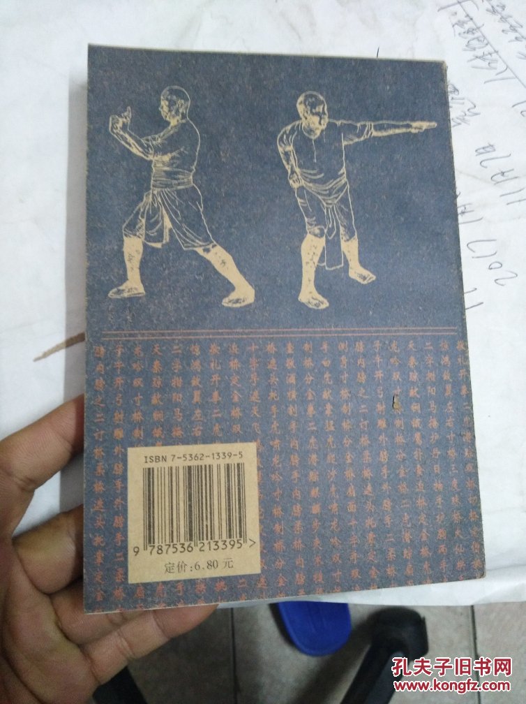 铁桥三真传铁线拳