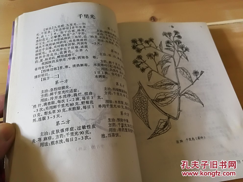 中国民间百草良方