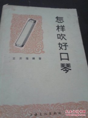 怎样夸人口琴吹的好_吹口琴的人(2)