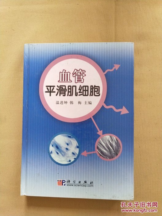 血管平滑肌细胞