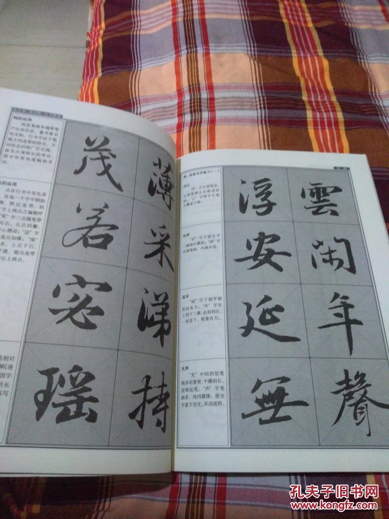《赵孟頫行书教程:洛神赋中国书法培训教程》为赵体行书的入门