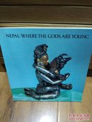 Pratapaditya Pal Nepal: Where the Gods are Young 尼泊尔佛造像