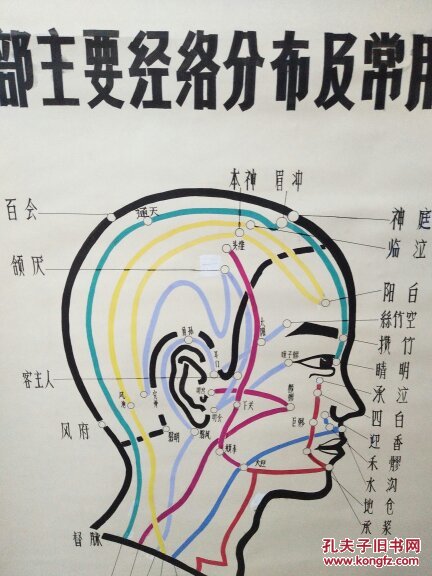 头部主要经络分布及常用穴位【一图为准避免争论】
