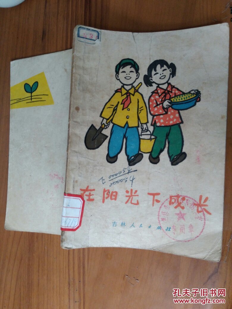 在阳光下成长