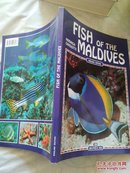 Fish of the Maldives, （World of Nature）
