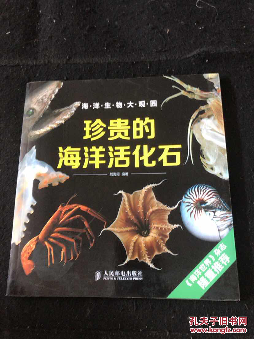 珍贵的海洋活化石