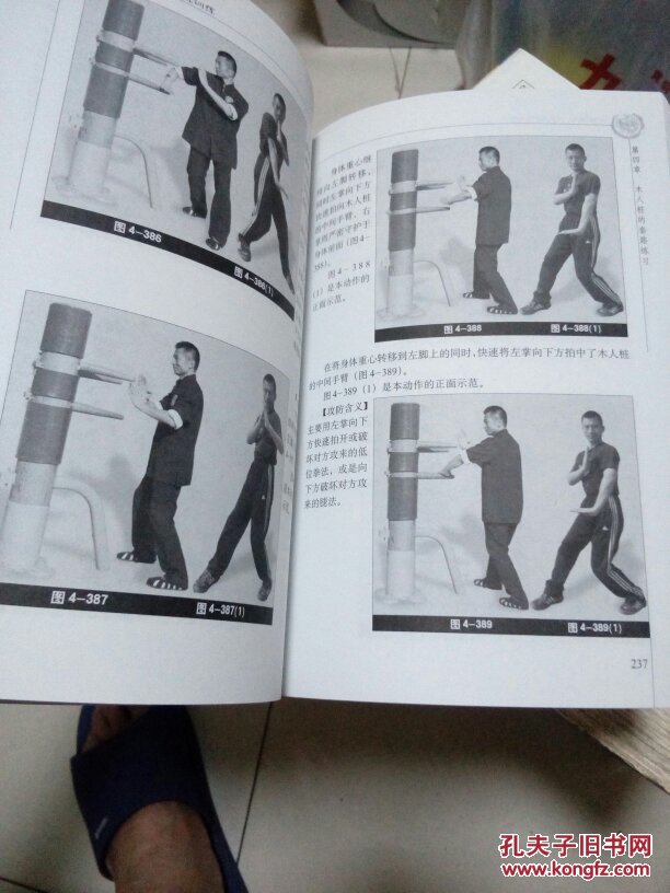 咏春拳训练完整教程.咏春拳新版全套六册合售