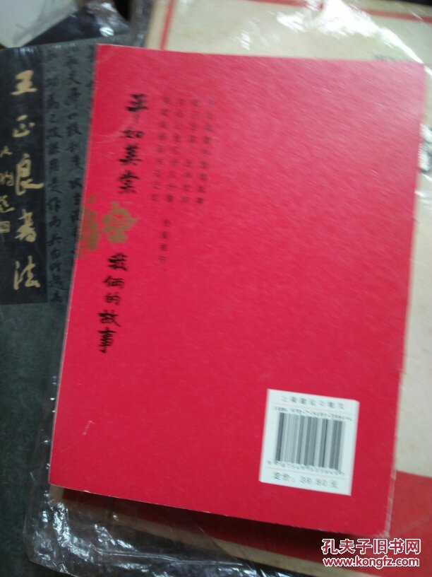 我俩的故事 平如美棠(全多插图)