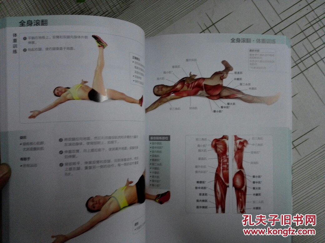 肌肉训练完全图解:功能性训练