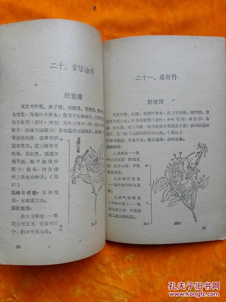 福建民间草药(第一,三,五集)3本合售(介绍草药的性味与功能 民间效用