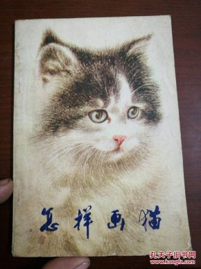 怎样画猫_曹克家