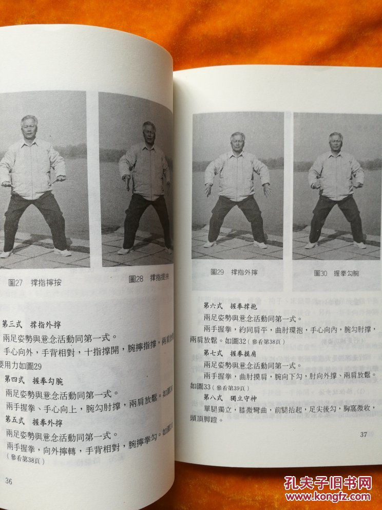 拳道中枢站桩功(王芗斋遗著 于永年 编著 268页)