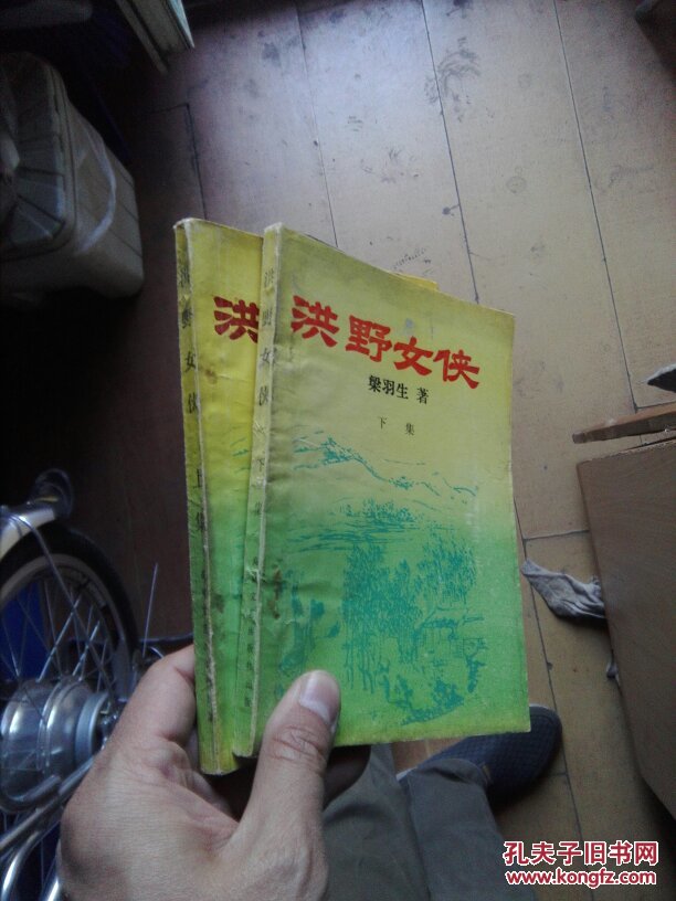 洪野女侠上下五千年