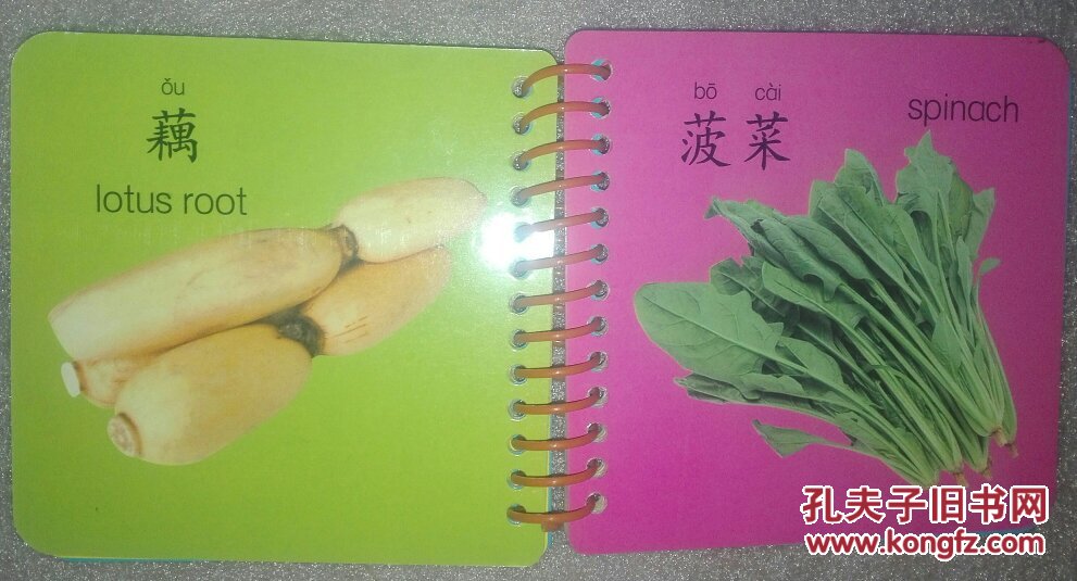 天才宝贝 宝宝的第一本圈圈书 蔬菜 0-3岁幼儿