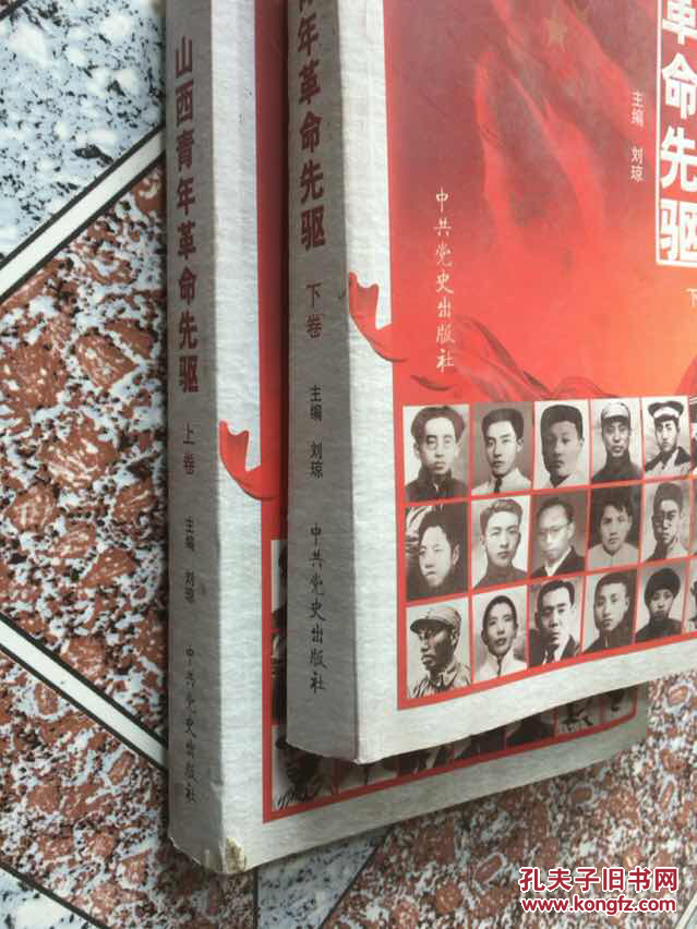 山西青年革命先驱,上下